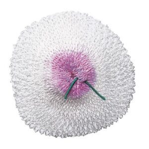 PRIMUS – lambi sukk gaasilaternale