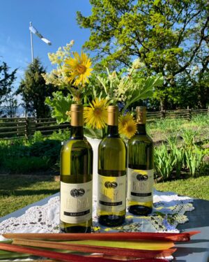 RABARBERIVEIN (KUIV) Art. 0004