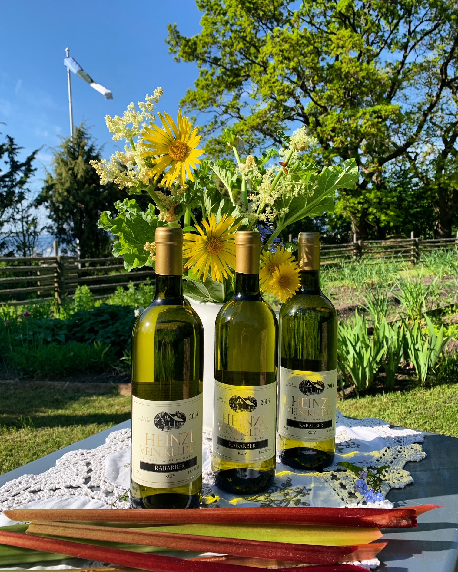 RABARBERIVEIN (KUIV) Art. 0004